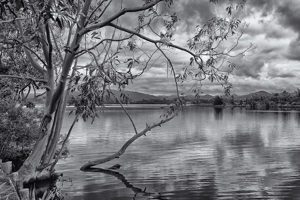 Lagoa de Ibiraquera
